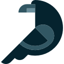 shield icon